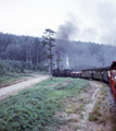 Cass Scenic Railroad / Bald Knob, West Virginia (8/22/1972)