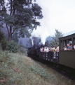 Cass Scenic Railroad / Whittaker Hill, West Virginia (8/22/1972)