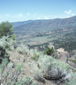 Denver & Rio Grande Western / Gore Canyon, Colorado (6/11/1996)