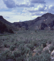 Meadow Valley Wash, Nevada (5/1/1982)