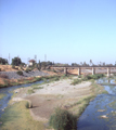 Western Pacific / Fremont, California (7/15/1983)