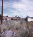 Yakima Valley Tranportation Co. (Union Pacific) / Gromore, Washington (6/13/1972)